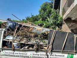 Best Construction Debris Removal  in Hartley, CA